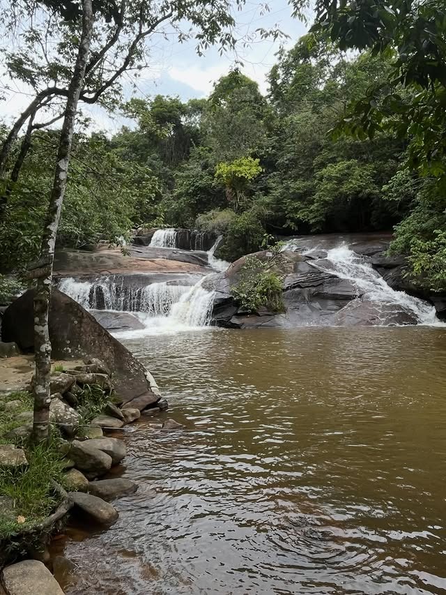 Cachoeira com piscina natural em meio à vegetação, vista de cima para baixo
